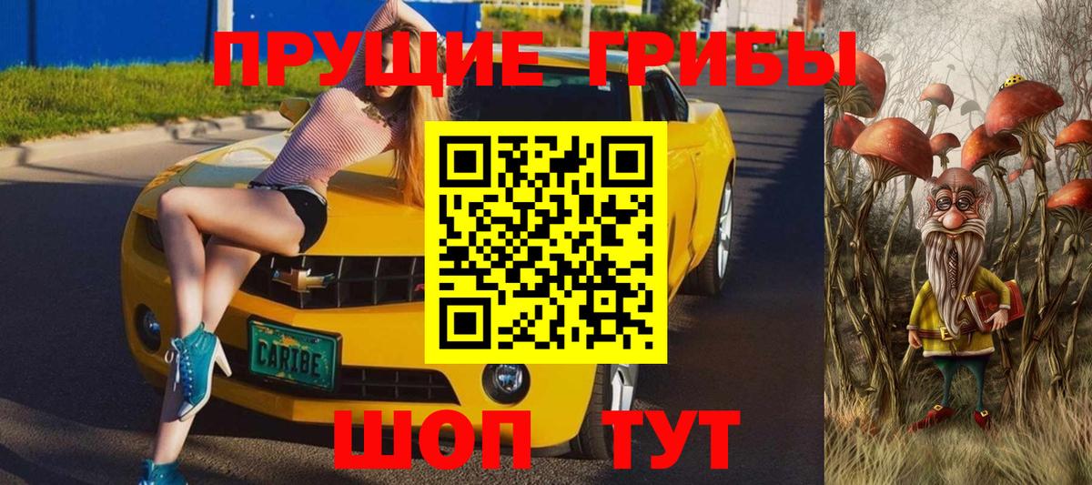Псилоцибиновые грибы GOLDEN TEACHER Сыктывкар
