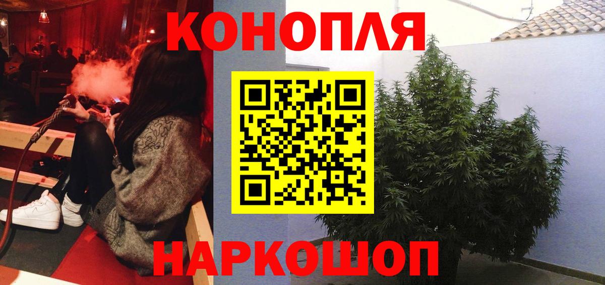 Конопля White Widow  Марихуана план  Сыктывкар  Вход с VPN 